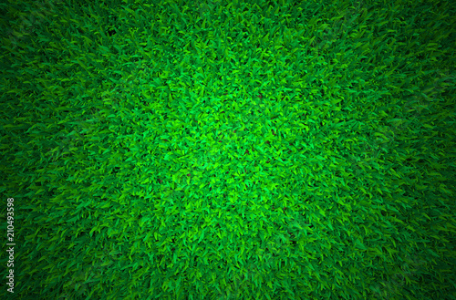Green grass, 3D illustration