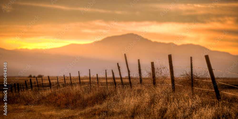 Wooden post barbed wire fence surrounding a field at sunset. - obrazy, fototapety, plakaty 