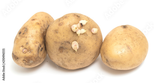 potatoes isolated on white background