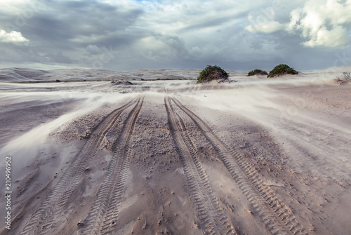 Windy sand dune in Stockton beach