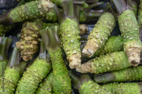 Wasabi Roots
