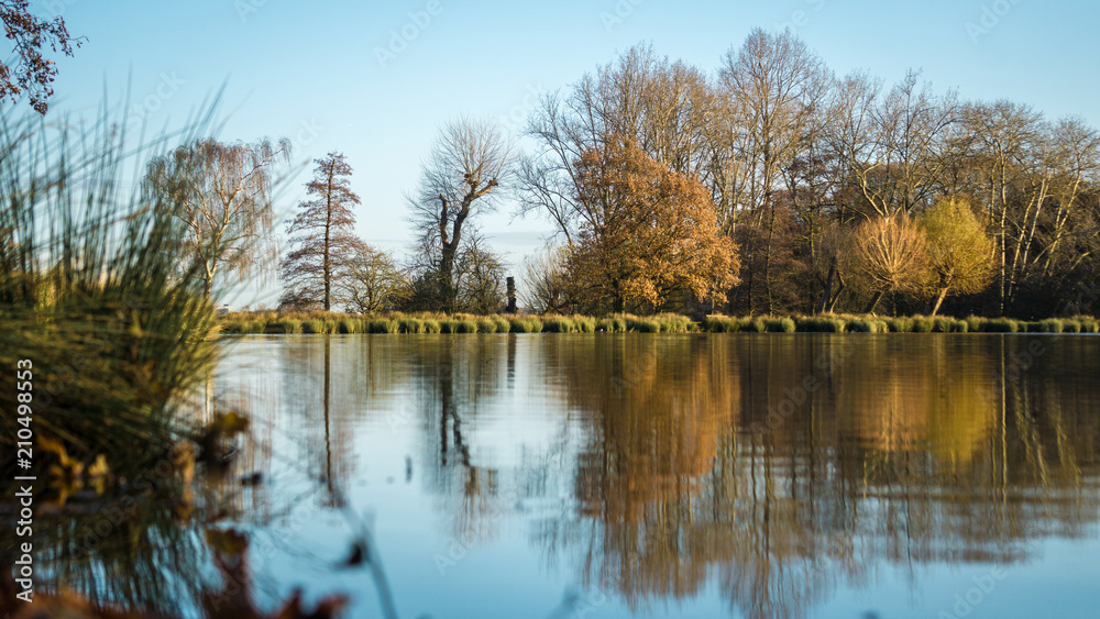 A peaceful, calm lake at sunrise in Richmond Park, London 
