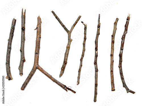 dry branch sticks on a white background