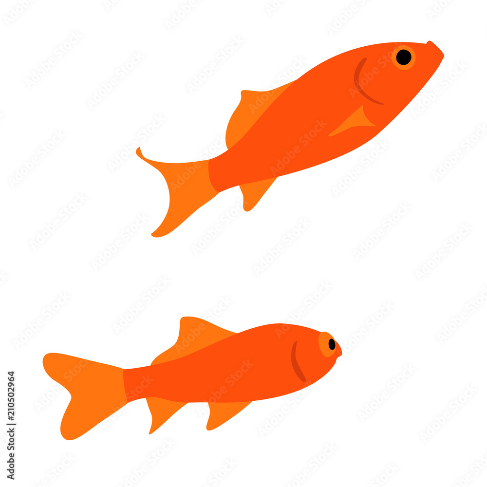 仲良く泳ぐ二匹の金魚のイラスト 仲良く泳ぐ二匹の金魚のイラスト