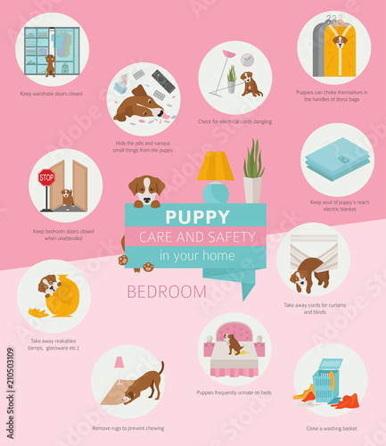 Puppy care and safety in your home. Bedroom. Pet dog training infographic design