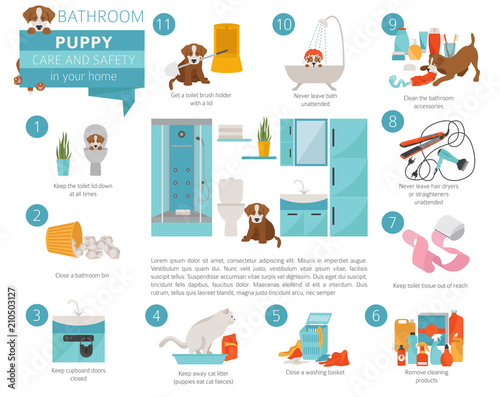 Puppy care and safety in your home. Bathroom. Pet dog training infographic design