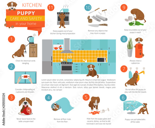 Puppy care and safety in your home. Kitchen. Pet dog training infographic design
