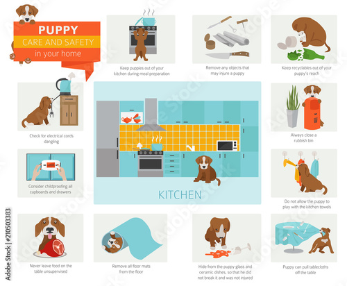 Puppy care and safety in your home. Kitchen. Pet dog training infographic design