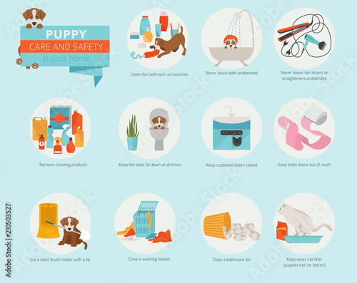 Puppy care and safety in your home. Bathroom. Pet dog training infographic design