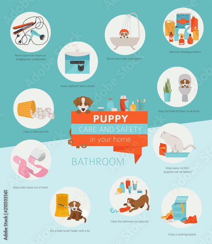 Puppy care and safety in your home. Bathroom. Pet dog training infographic design