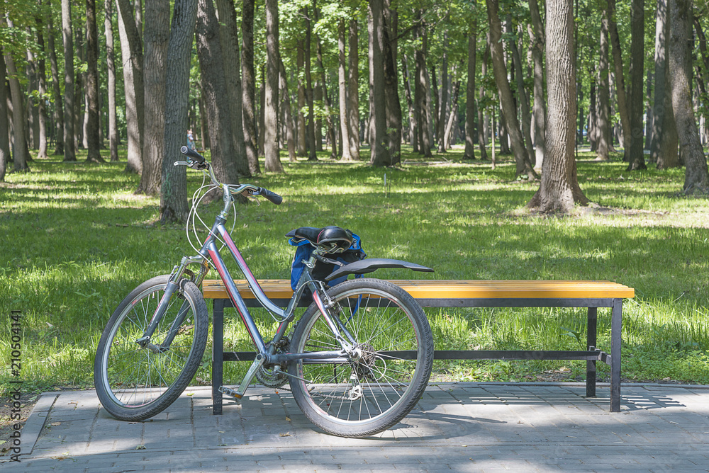 A bicycle near the bench in green park on sunny day