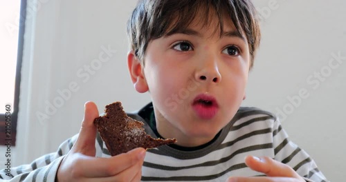 Handsome child eating breakfast bread, portrait of young boy eating snack. Kid taking a bite from sliced bread2 photo