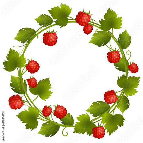 Round Wreath with Raspberry and Leaves