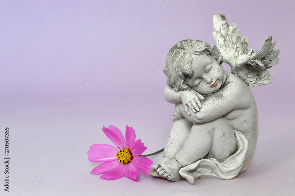 Guardian angel sleeping. Angel and flower Guardian angel sleeping. Angel and flower