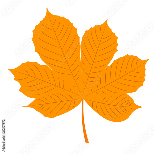 autumn chestnut leaf