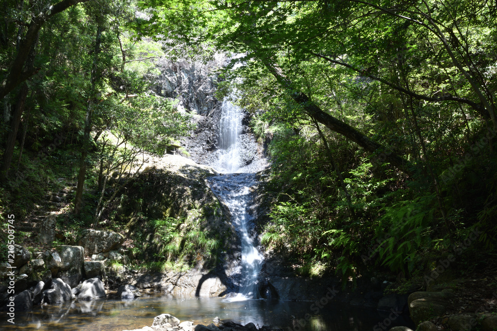 Obraz premium 日本の山の中の滝