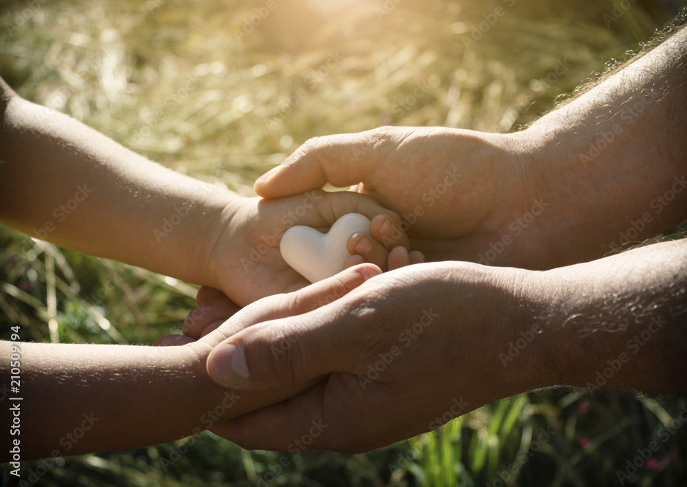 A heart in the hands of a child and an adult man, father and son is holding a heart in the background of nature. Side view A heart in the hands of a child and an adult man, father and son is holding a heart in the background of nature. Side view