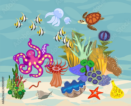 Ecosystem of coral reef with different marine inhabitants