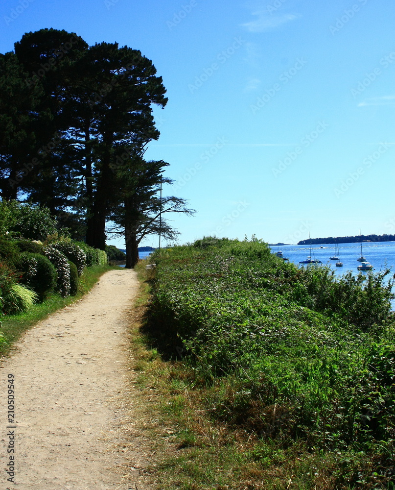 chemin sur la  côte bretonne,paysage