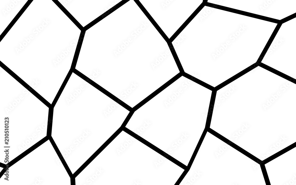 Black and White Irregular Mosaic Template