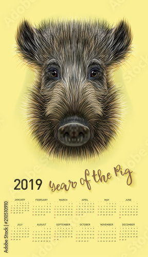 Pig calendar for 2019. Vector editable template with concept. Symbol of the year in the Chinese calendar. Realistic vector illustration of wild boar.