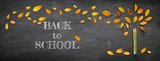 Back to school concept. Top view banner of pencils next to tree sketch with autumn dry leaves over classroom blackboard background.
