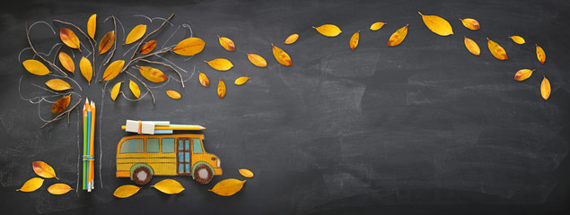 Back to school concept. Top view banner of school bus and pencils next to tree sketch with autumn dry leaves over classroom blackboard background.