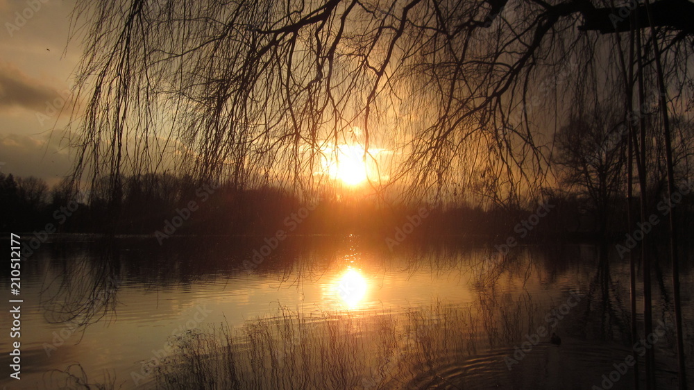 High contrast photograph of a sunset over a lake seen through the branches of a weeping willow