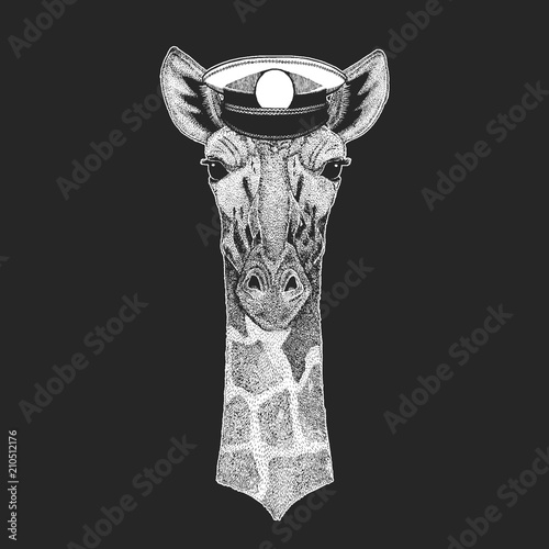 Camelopard, giraffe Vector print for children. Capitan, pirate animal. Brave sailor. Design for kindergarten, school kids clothing, t-shirts. photo