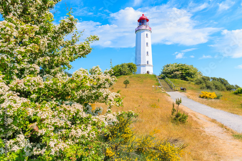 Path to Dornbush lighthouse in spring landscape with flowers on northern coast of Hiddensee island  Baltic Sea  Germany