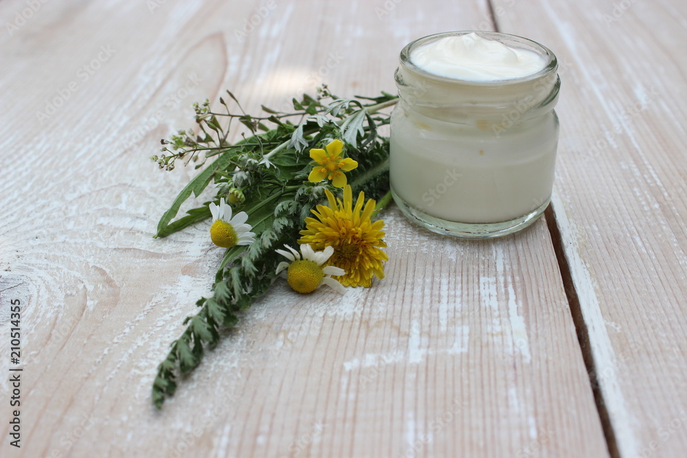 Cosmetic cream with chamomile flowers Cosmetic cream with chamomile flowers