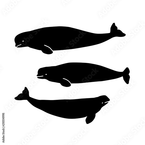 Beluga figures for the background, laser cutting etc.