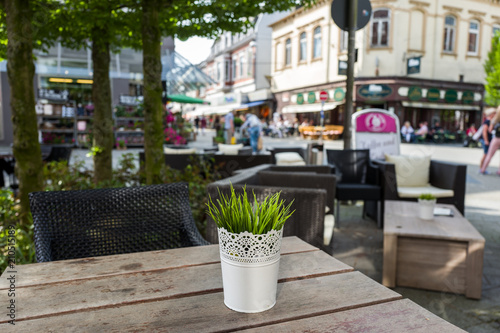 Plant in cafe and view on the Marktrasse in Wilhelmshaven, Germany. photo