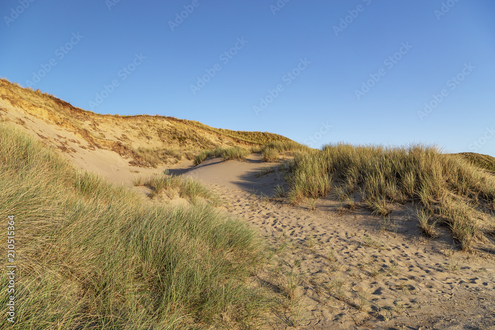 Grass Dunes at Red Cliff on Sylt Island / Germany Grass Dunes at Red Cliff on Sylt Island / Germany