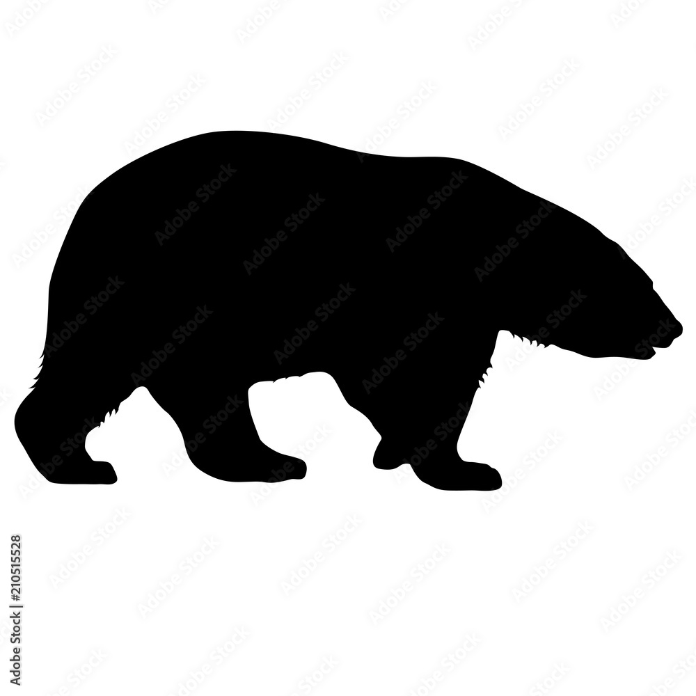 Silhouette polar bear on a white background