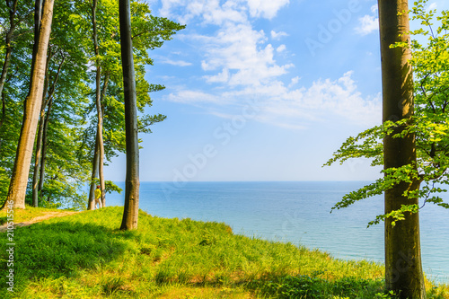 Fototapeta Naklejka Na Ścianę i Meble -  View of blue sea and green trees on chalk cliffs in Jasmund National Park, Ruegen island, Baltic Sea, Germany