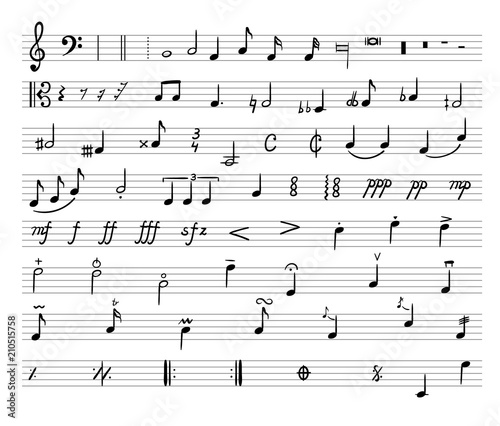 Vector Music Notes  Drawn Illustration  Musical Staff and Different Musical Symbols.