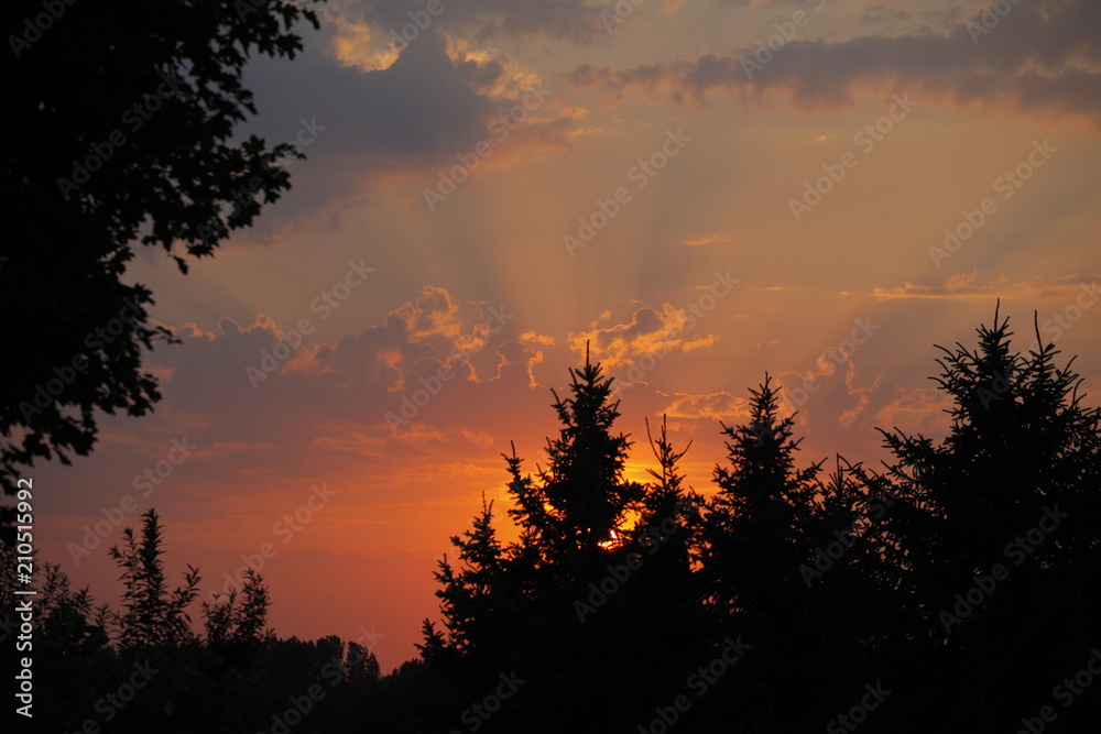 Sonnenuntergang Elisabethaue Sonnenuntergang Elisabethaue