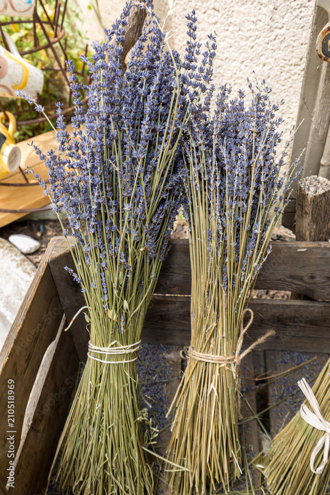 Fototapeta premium Les Baux de Provence village, box with lavender flowers, Provence, France