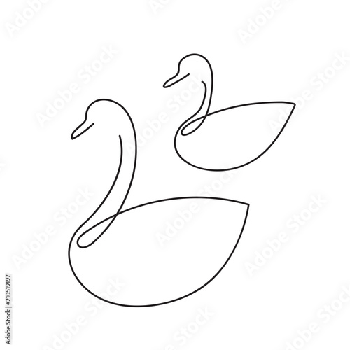 Line swan, duck outline