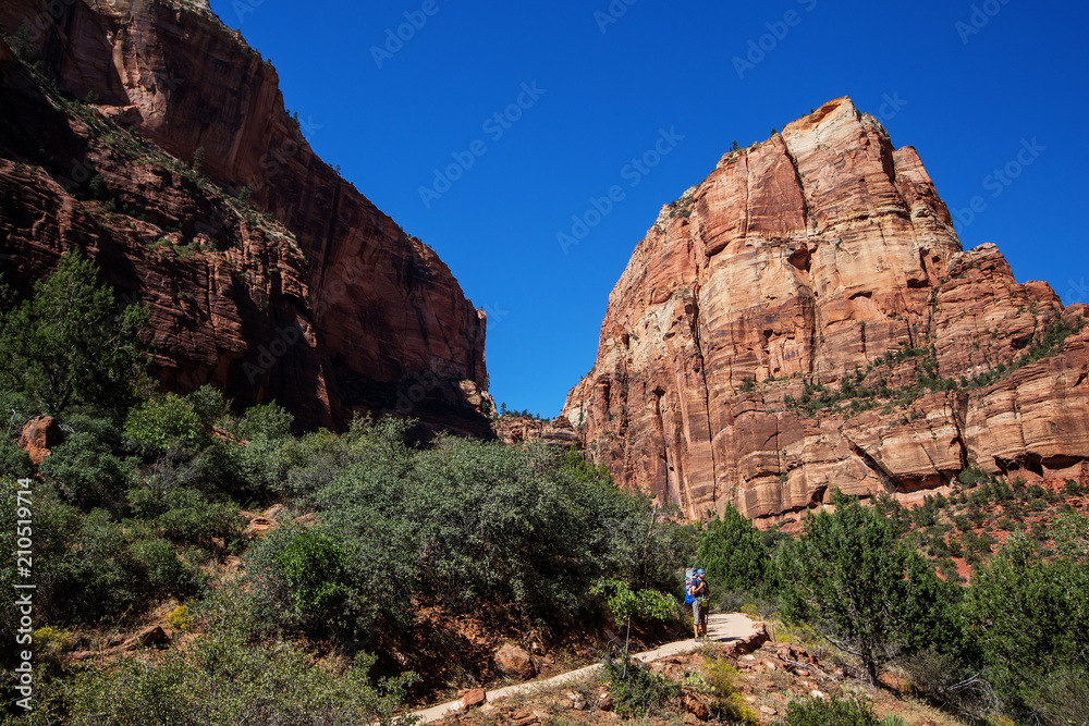 A man with his baby boy are trekking in Zion national park, Utah, USA