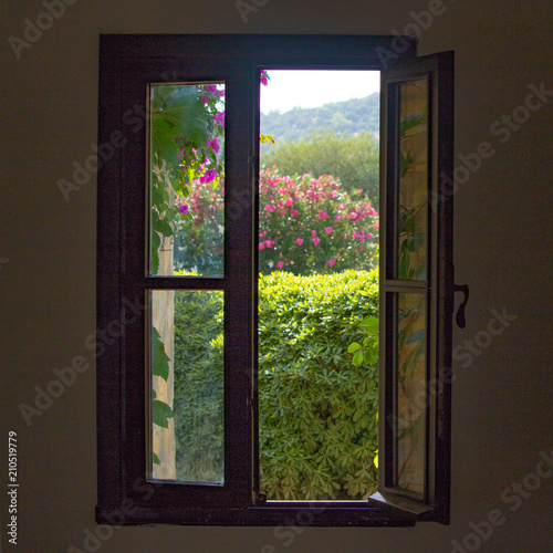 Window overlooking a flowering garden.
