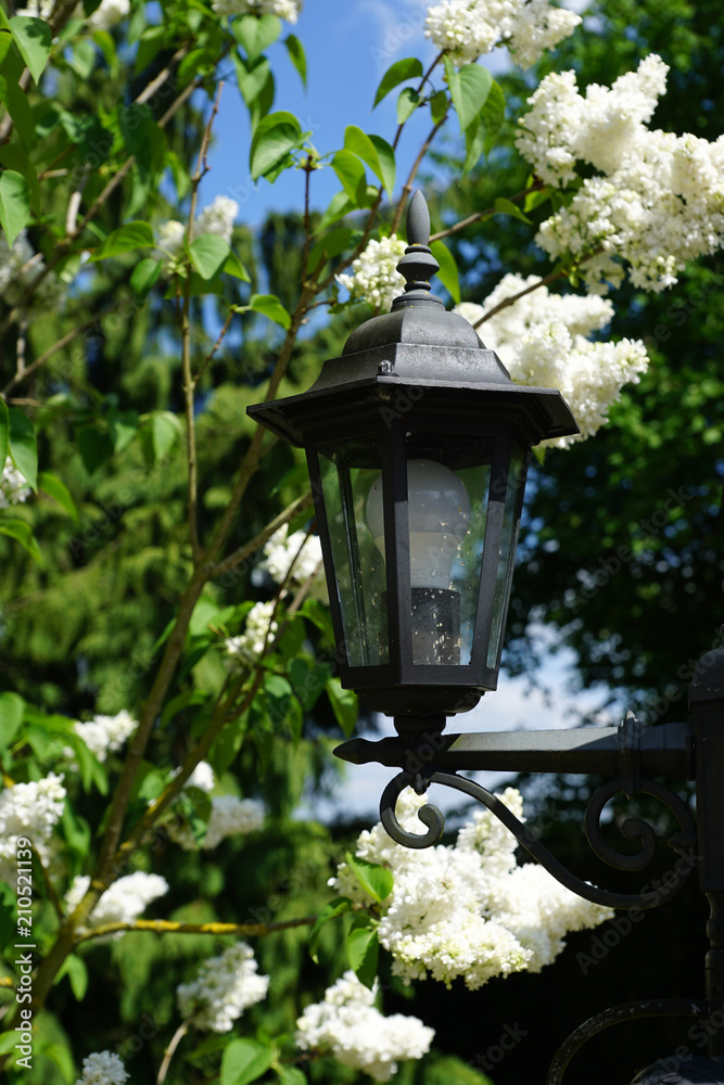 lampadaire noir dans un jardin
