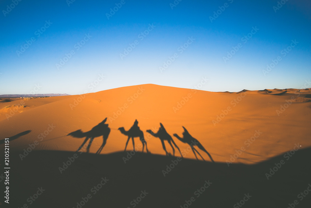 Vintage looking image of people riding camels in caravan over the sand dunes in Sahara desert with camel shadows on a sand