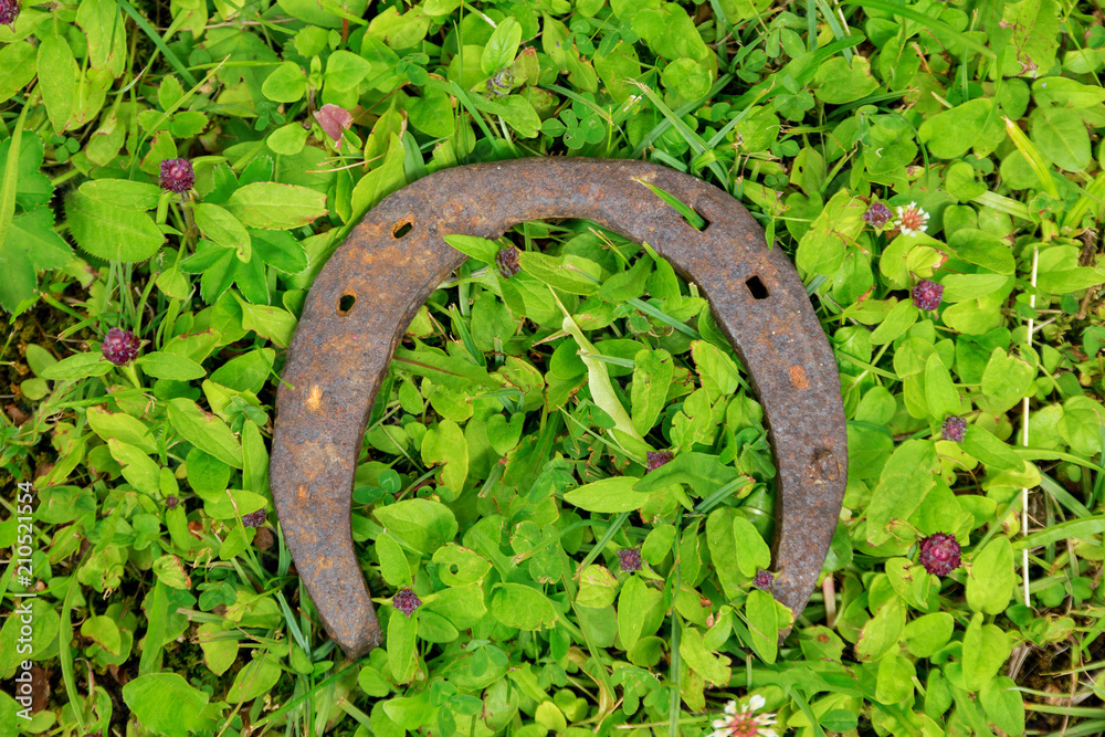 old forged horseshoe on grass old forged horseshoe on grass