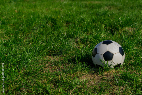 fotball or soccer black and white ball on green grass background. © IKvyatkovskaya