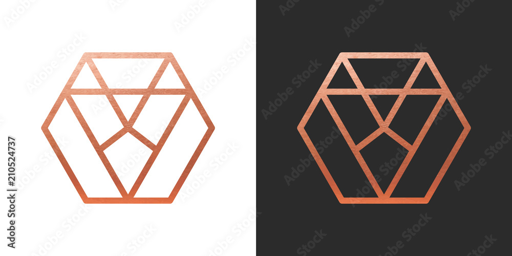 Copper geometric hexagon Logo Shape. Vector Icon.