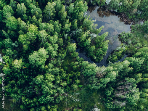 Aerial top view of summer forest and swampy terrain, green forest background