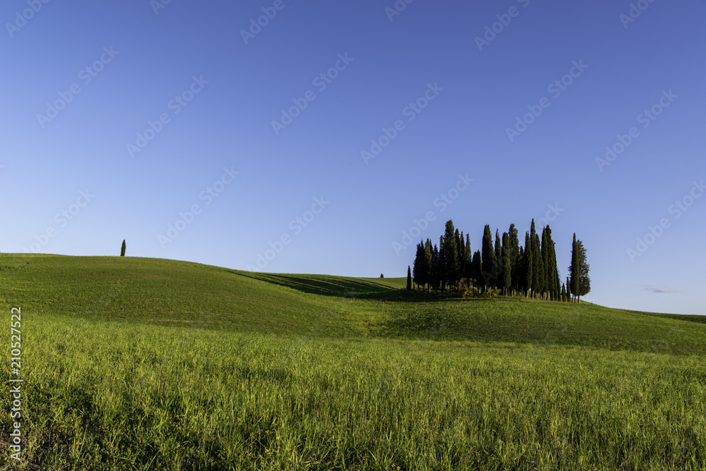 Fototapeta premium Toskana
