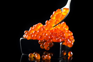 Caviar in a spoon. Salmon caviar in a bowl over black background. Closeup trout caviar